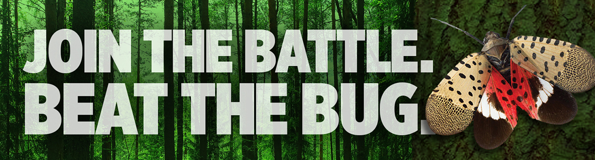 Join the Battle. Beat the Bug.